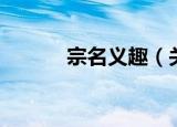 宗名义趣（关于宗名义趣介绍）