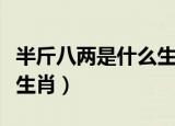 半斤八两是什么生肖请百度（半斤八两是什么生肖）