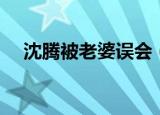 沈腾被老婆误会（沈腾妻子被骂上热搜）