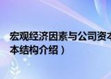 宏观经济因素与公司资本结构（关于宏观经济因素与公司资本结构介绍）