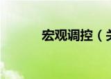 宏观调控（关于宏观调控介绍）