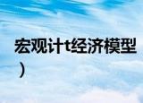 宏观计t经济模型（关于宏观计t经济模型介绍）
