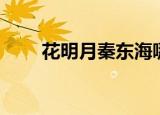 花明月秦东海哪集在一起（花明月）