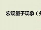 宏观量子现象（关于宏观量子现象介绍）