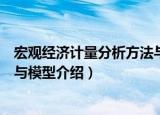 宏观经济计量分析方法与模型（关于宏观经济计量分析方法与模型介绍）