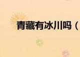 青藏有冰川吗（西藏发现蓝色古冰川）