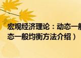 宏观经济理论：动态一般均衡方法（关于宏观经济理论：动态一般均衡方法介绍）
