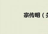宗传明（关于宗传明介绍）