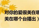 对你的爱很美在哪个台播出9月（对你的爱很美在哪个台播出）