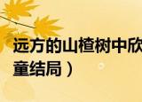 远方的山楂树中欣童扮演者（远方的山楂树欣童结局）