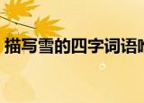描写雪的四字词语唯美（描写雪的四字词语）