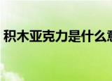 积木亚克力是什么意思（亚克力是什么意思）