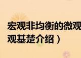 宏观非均衡的微观基楚（关于宏观非均衡的微观基楚介绍）