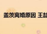 盖茨离婚原因 王喆（王喆否认涉盖茨离婚）
