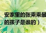 安家里的张乘乘最后怎么样了（安家里张乘乘的孩子是谁的）