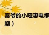 秦爷的小哑妻电视剧全集（秦爷的小哑妻电视剧）