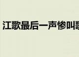 江歌最后一声惨叫歌词（江歌最后一声惨叫）