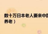 数十万日本老人要来中国养老肟（数十万日本老人要来中国养老）