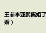 王菲李亚鹏离婚了吗（李亚鹏和王菲为什么离婚）