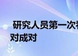  研究人员第一次看到单个原子彼此远离或成对成对