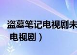 盗墓笔记电视剧未删减版免费观看（盗墓笔记 电视剧）