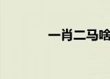 一肖二马啥意思（一肖二马）