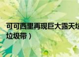 可可西里再现巨大露天垃圾带 app（可可西里再现巨大露天垃圾带）