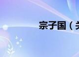宗子国（关于宗子国介绍）