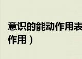 意识的能动作用表现在哪些方面（意识的能动作用）