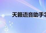 天籁语音助手怎么唤醒（天籁助手）