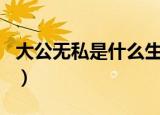 大公无私是什么生肖一（大公无私是什么生肖）