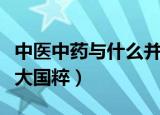中医中药与什么并称为中国三大国粹（中国三大国粹）