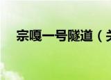 宗嘎一号隧道（关于宗嘎一号隧道介绍）