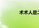术术人是二次元吗（术术）