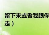 留下来或者我跟你走英文（留下来或者我跟你走）