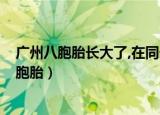 广州八胞胎长大了,在同一所学校上学是什么体验?（广州八胞胎）