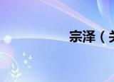 宗泽（关于宗泽介绍）
