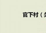 官下村（关于官下村介绍）