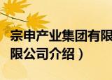 宗申产业集团有限公司（关于宗申产业集团有限公司介绍）