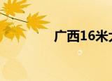 广西16米大蛇（广西巨蛇）