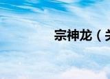 宗神龙（关于宗神龙介绍）