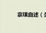 宗璞自述（关于宗璞自述介绍）