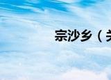 宗沙乡（关于宗沙乡介绍）
