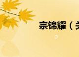 宗锦耀（关于宗锦耀介绍）