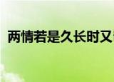 两情若是久长时又岂在朝朝暮暮什么意思啊