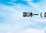 宗沐一（关于宗沐一介绍）