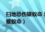 扫地恐伤蝼蚁命 爱惜飞蛾纱罩灯（扫地恐伤蝼蚁命）