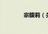 宗馥莉（关于宗馥莉介绍）