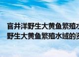 官井洋野生大黄鱼繁殖水域的资源与环境特征（关于官井洋野生大黄鱼繁殖水域的资源与环境特征介绍）