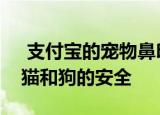  支付宝的宠物鼻印识别技术使车主可以确保猫和狗的安全